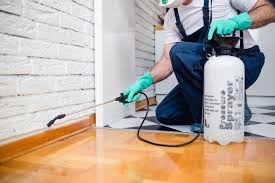 Best Residential Pest Control  in Hudson, CO